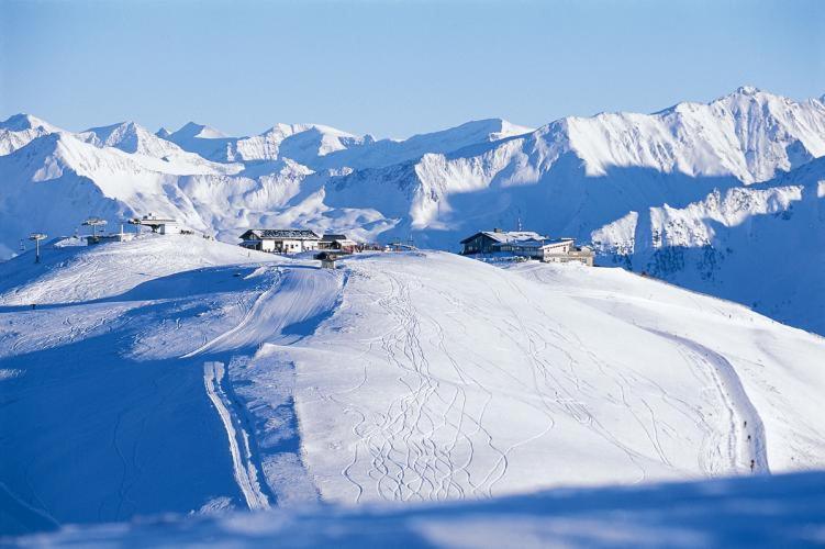 Almstube Fritz Διαμέρισμα Wald im Pinzgau Εξωτερικό φωτογραφία