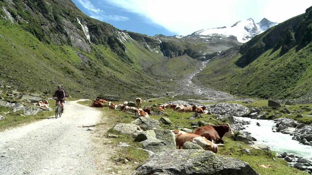 Almstube Fritz Διαμέρισμα Wald im Pinzgau Εξωτερικό φωτογραφία